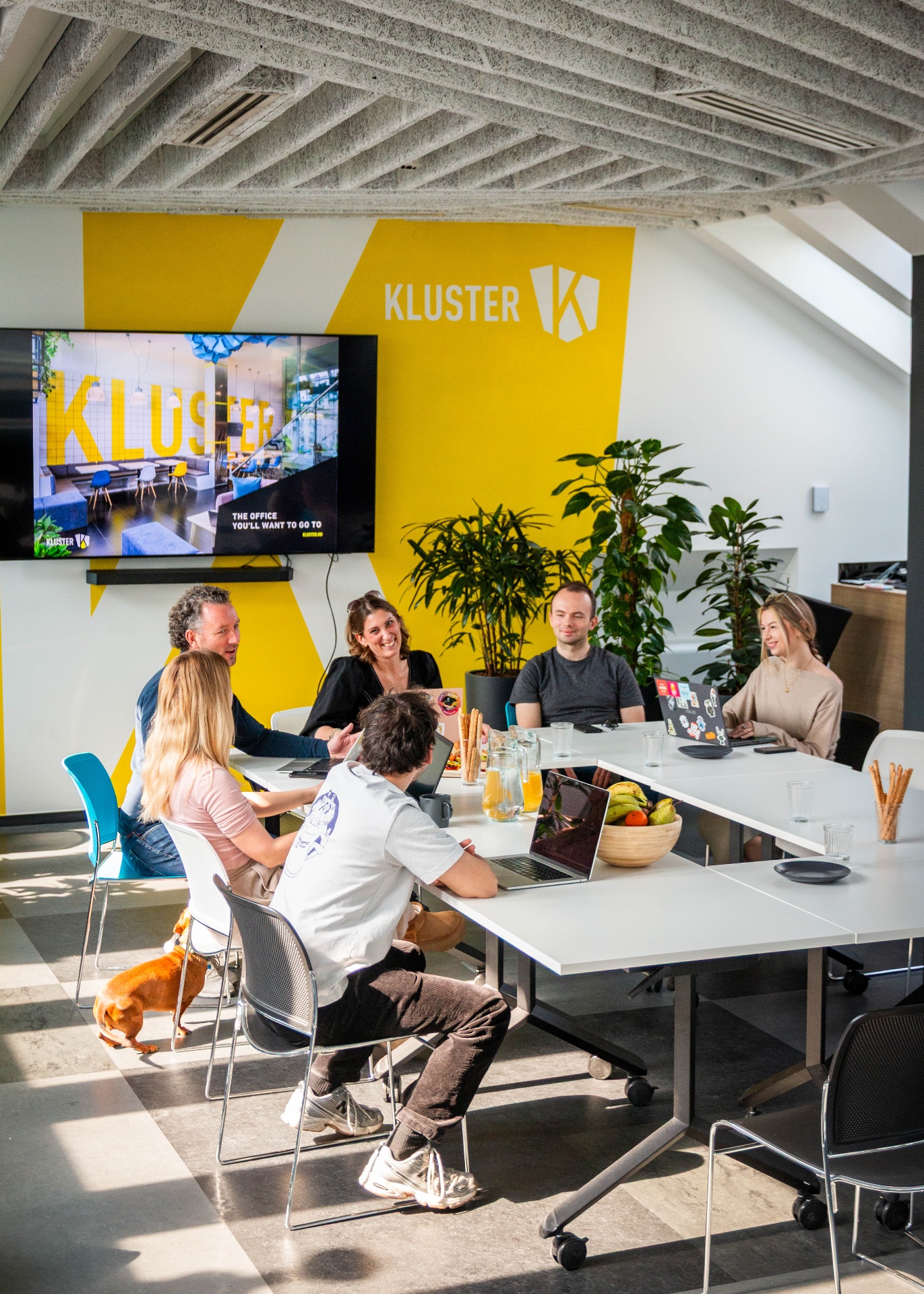 KLUSTER event space